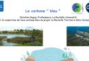 Le Carbone Bleu : le rôle des marais littoraux dans la lutte contre le réchauffement climatique.