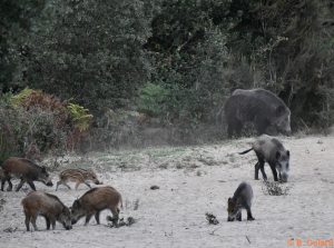 DSC_3720 (2)_GF
