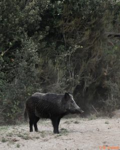 DSC_3734 (2)_GF