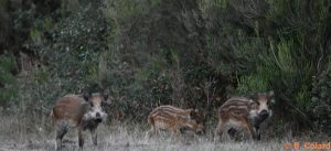 DSC_3794 (2)_GF