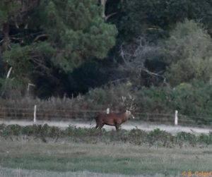 DSC_3823 (2)_GF