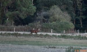 DSC_3823 (3)_GF