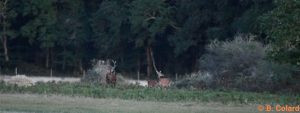 DSC_3828 (2)_GF