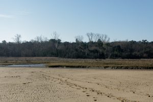 DSC07113_DxO