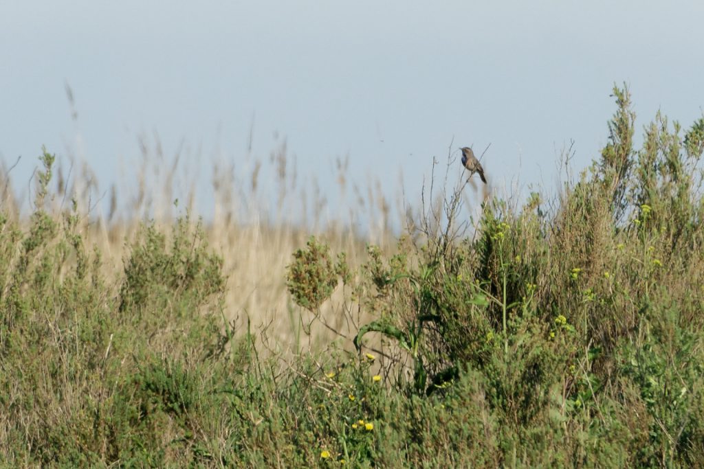 DSC07211_DxO