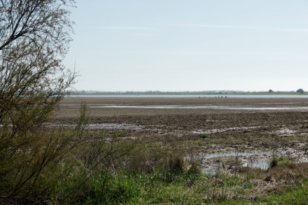 DSC07247_DxO