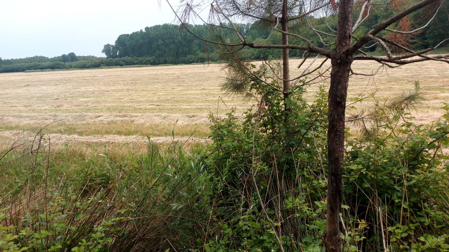 IMG-20240627-WA0012