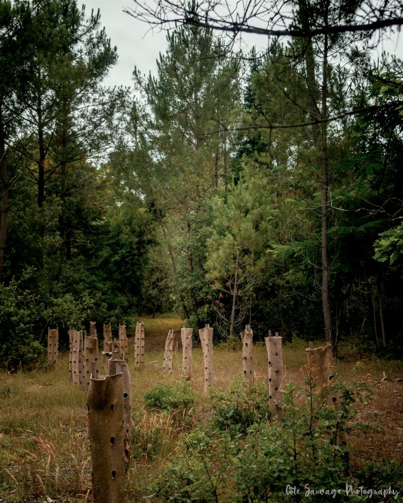 Sortie Coeur de Coubre-72_GF