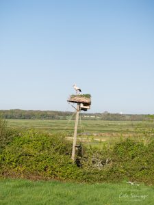 Natvert-sortie-Broue-0916-005