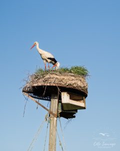 Natvert-sortie-Broue-0916-006