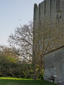 Natvert-sortie-Broue-0925-043