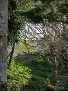 Natvert-sortie-Broue-0928-049