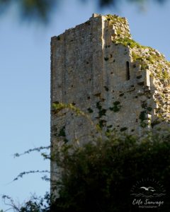 Natvert-sortie-Broue-0931-052