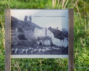 Natvert-sortie-Broue-0935-056