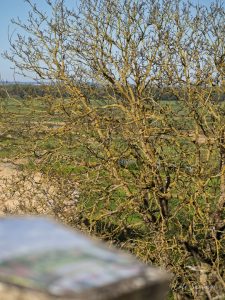 Natvert-sortie-Broue-0936-058