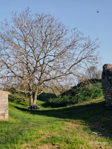 Natvert-sortie-Broue-0943-065