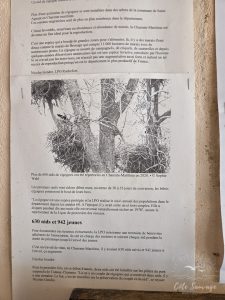Natvert-sortie-Broue-0949-069