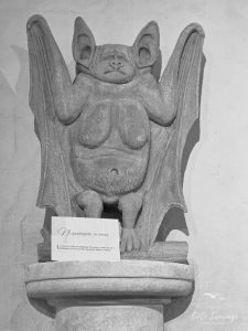 Natvert-sortie-Broue-1008-073