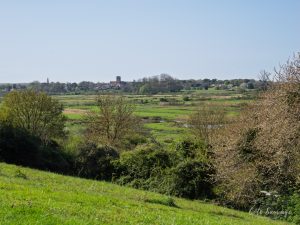 Natvert-sortie-Broue-1058-109