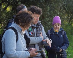 Natvert-sortie-Broue-1102-111