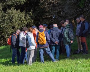 Natvert-sortie-Broue-1107-118