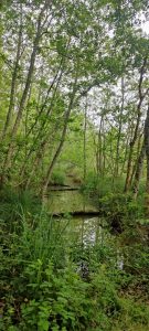 oplus_1048608