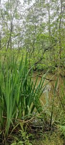 oplus_1048608