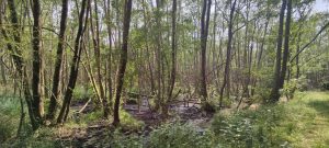 oplus_1048576