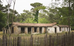 Natvert-sortie-Coubre-mai-2025-1442-002