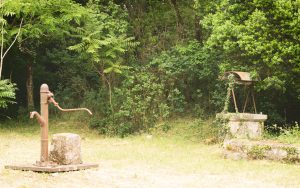 Natvert-sortie-Coubre-mai-2025-1519-019