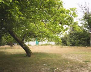 Natvert-sortie-Coubre-mai-2025-1746-060