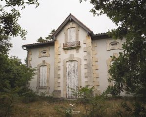Natvert-sortie-Coubre-mai-2025-1804-063