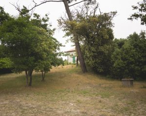 Natvert-sortie-Coubre-mai-2025-1806-065