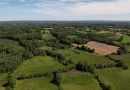 Bocage et haies