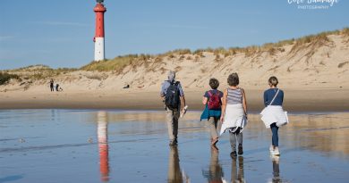 Entre dunes et lagunes, la baie de Bonne Anse Entre dunes et lagunes, la baie de Bonne Anse