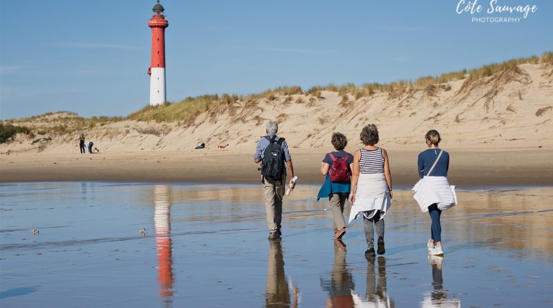 Entre dunes et lagunes, la baie de Bonne Anse