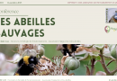 Les abeilles sauvages