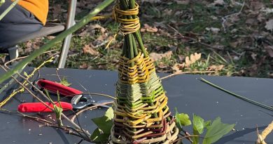 Atelier vannerie – 288 février 2026