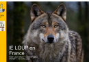 Le loup en France
