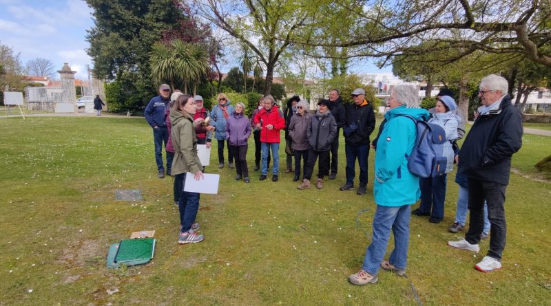 Les abeilles sauvages – 28 mars