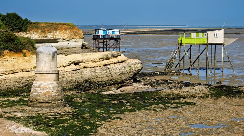 Découverte de l’Ile Madame en compagnie de Bruno TOISON